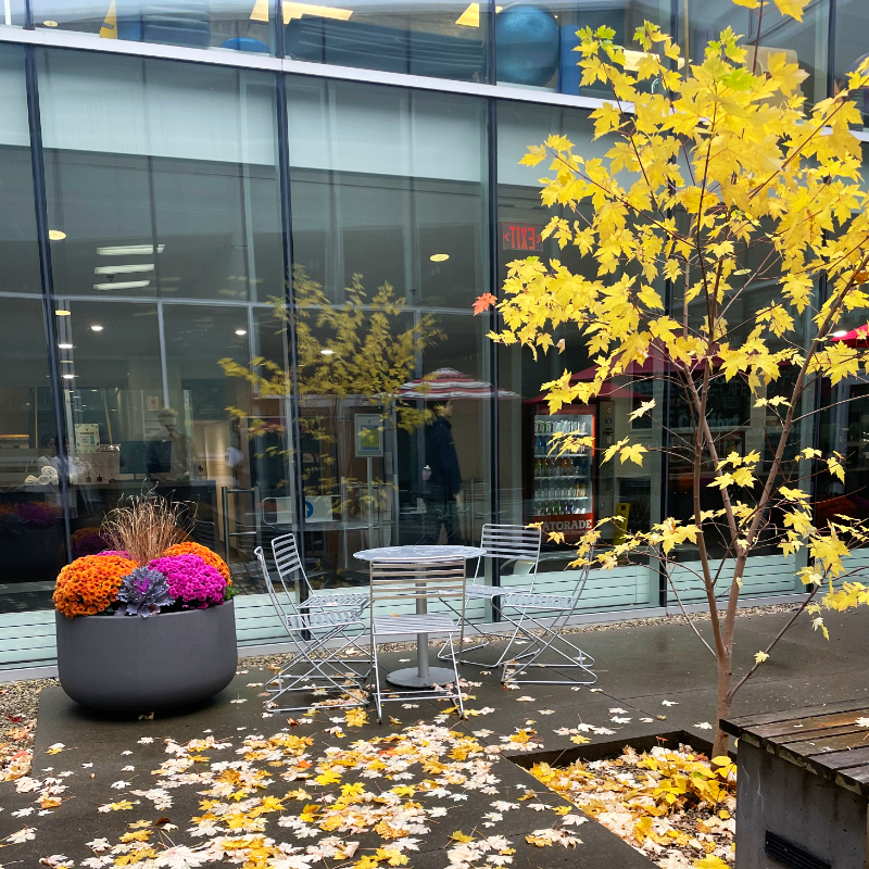 Stork YMCA courtyard photo